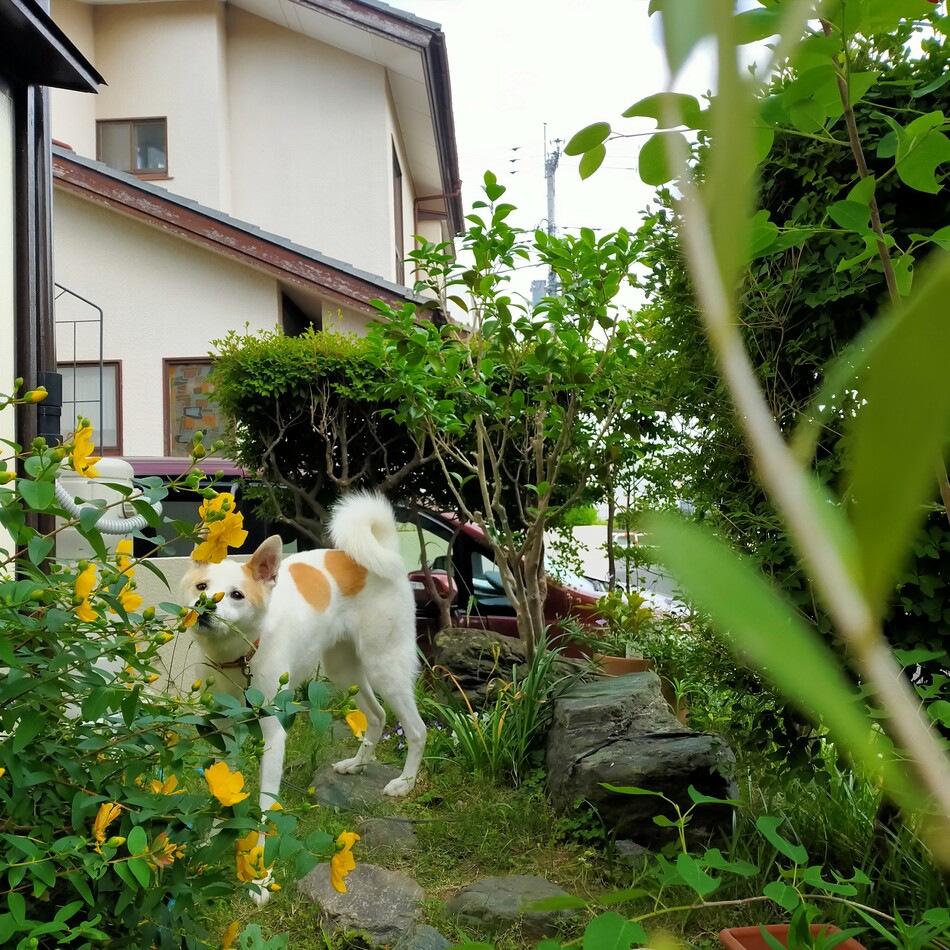 海のカバー写真