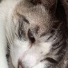まあええこ