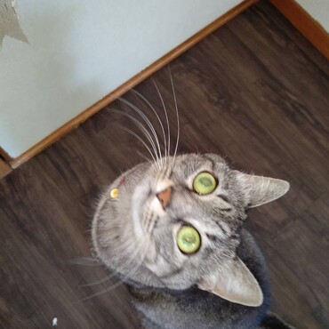 の写真