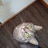 の写真