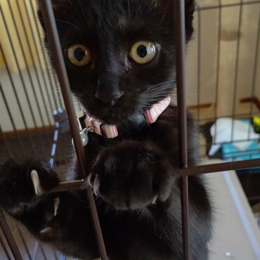 の写真