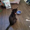の写真