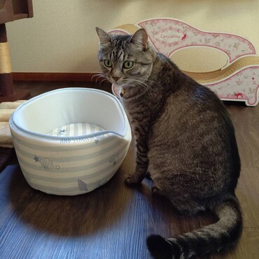 の写真
