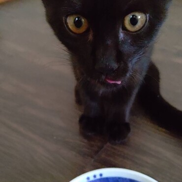の写真