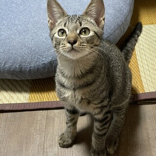 ◎遊ぶの大好き元気な男の子❤️