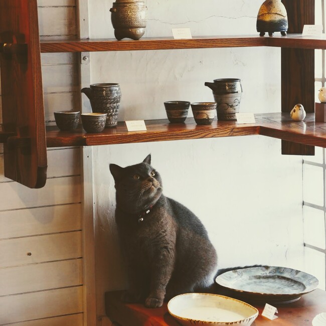 ぞぞうのカバー写真