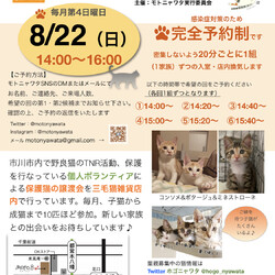 保護ねこ譲渡会  at 三毛猫雑貨店
