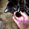 の写真