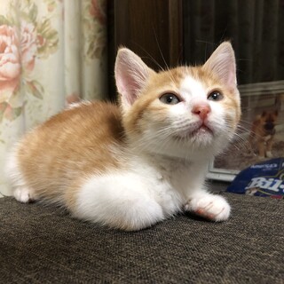 ありがとうございました★可愛いなぎさちゃん