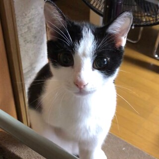 至急！助けてください！