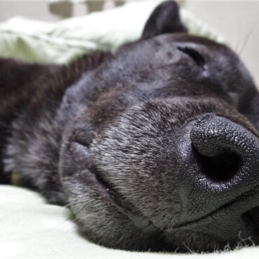 の写真