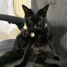 の写真