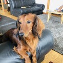 大事にしてくださる方を探しています
