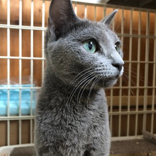 ありがとうございました