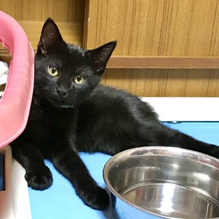 海っこ兄弟⭐︎黒チビ空くん