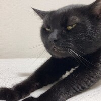 らい