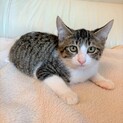 元気一杯な生後3ヶ月男の子（ユズ君）