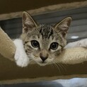  優しいお顔の男の子  ゆうき
