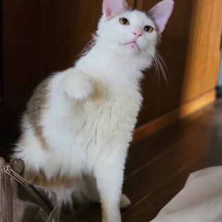 甘えん坊の男の子