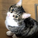 至急！助けてください！