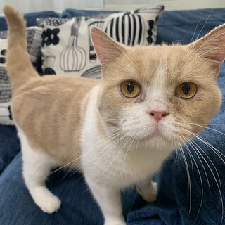 おっとり癒し系☆可愛いアムロくん