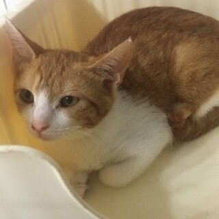 だいちゃん 3ヶ月 メス