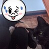 【美黒子猫】人が大好きな小さい女の子 サムネイル6