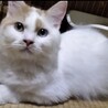 里親決定しました サムネイル2