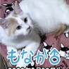 里親決定しました サムネイル4