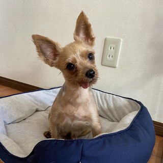 意外と大胆？！くるみちゃん♪