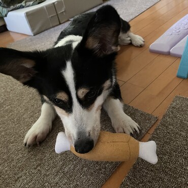 の写真
