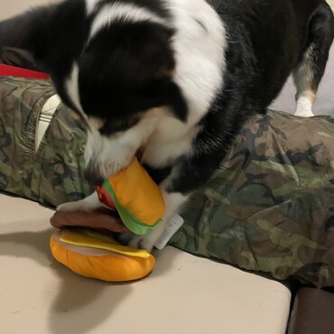 の写真