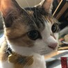 たかちん0812