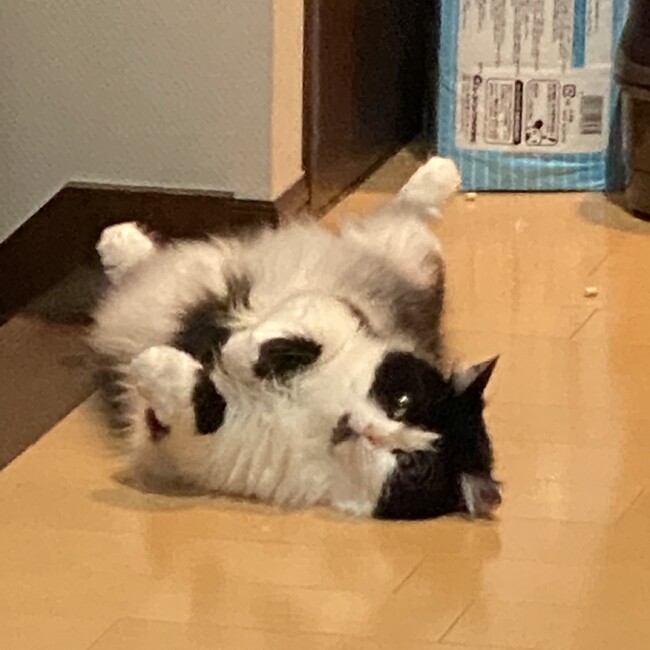 たかちん0812のカバー写真
