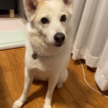 おやつまち。