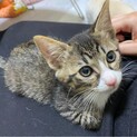 人が大好きやんちゃな男の子　ふうとくん