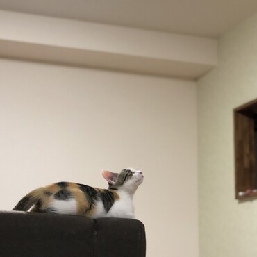 の写真