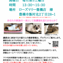 保護猫譲渡会&フリーマーケット