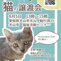 【中止】犬山市福祉活動センターにてネコの譲渡会！