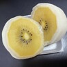 きむぱぷ