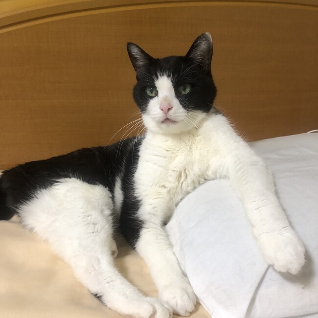 くろきっちのカバー写真