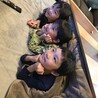 ささきちか