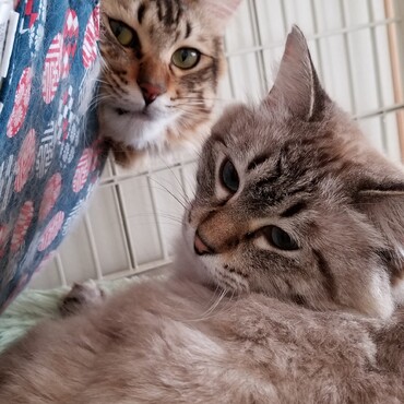 何か御用ですか