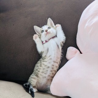 遊ぶの大好き♡元気いっぱいな女のコ♡♡