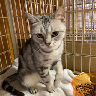 ありがとうございました