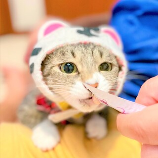 周囲を圧倒する魅力的な七色♡