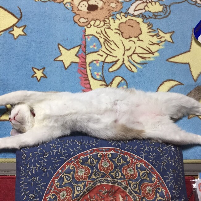 華南実のカバー写真
