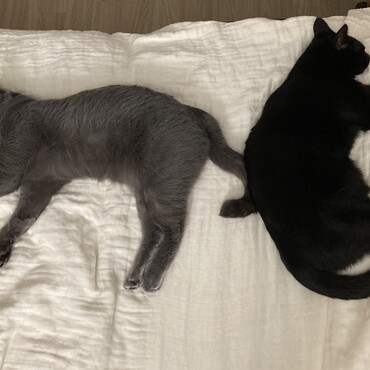 元気に2歳になりました