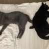 元気に2歳になりました
