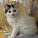 君たち可愛いすぎでしょ〜♡